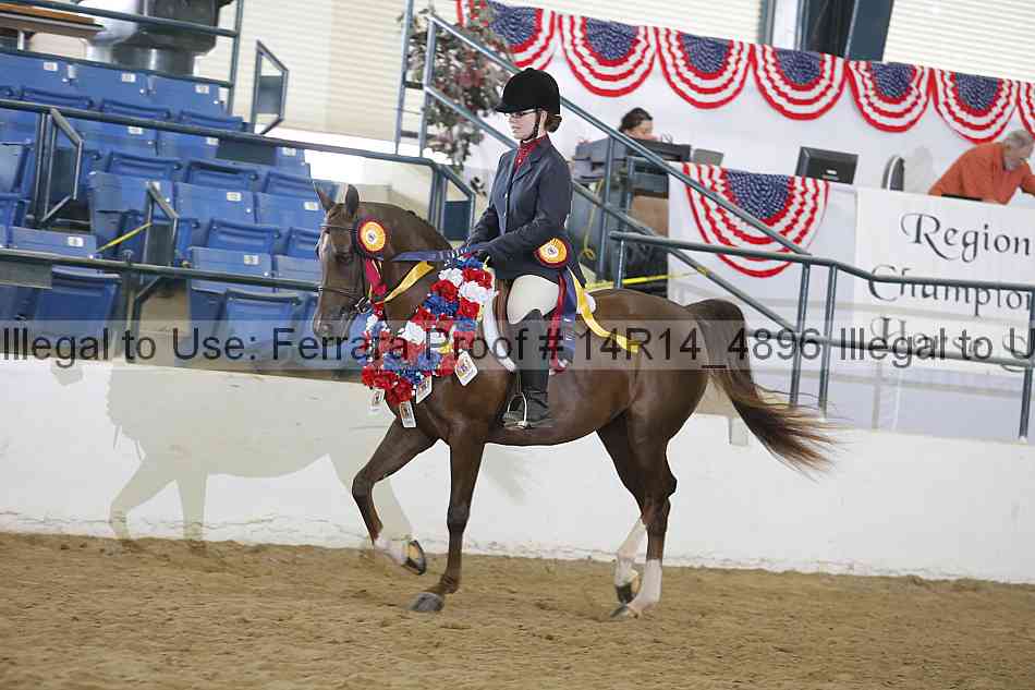 Proof 14r14_4896