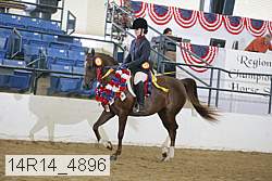 14r14_4896 proof