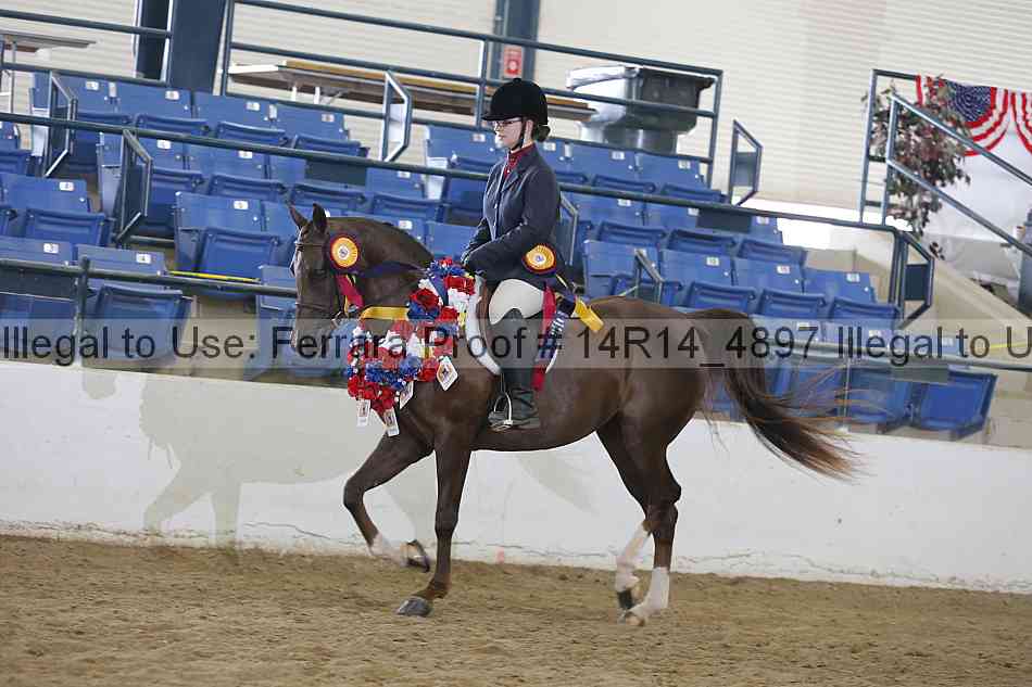 Proof 14r14_4897