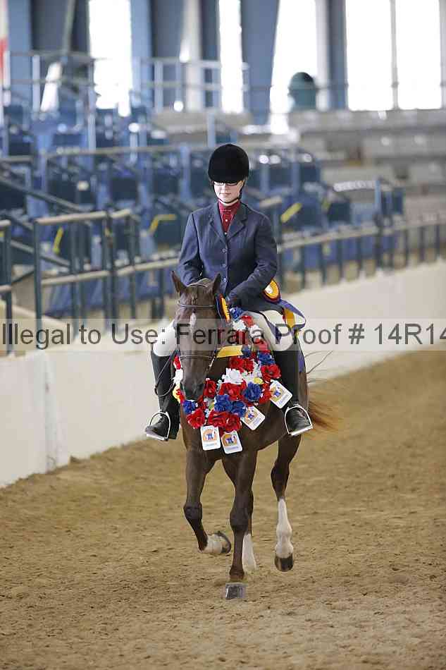 Proof 14r14_4900