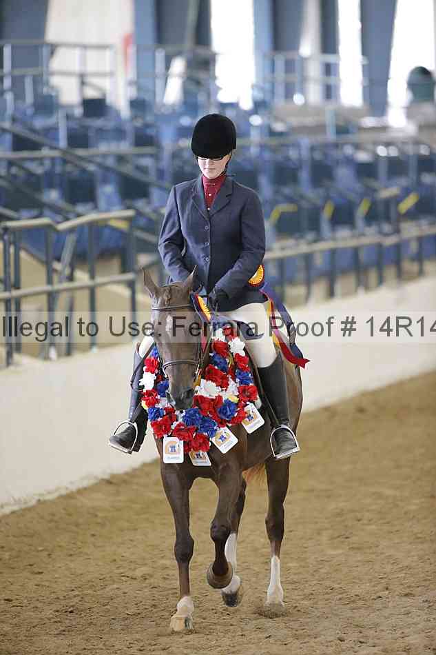 Proof 14r14_4901
