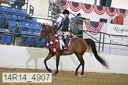 14r14_4907 proof