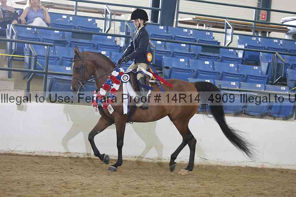 Proof 14r14_4909