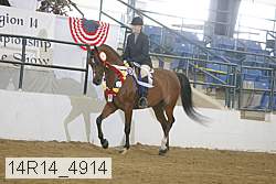 14r14_4914 proof