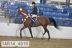 14r14_4916 proof