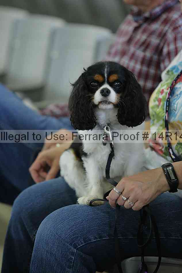 Proof 14r14_2549