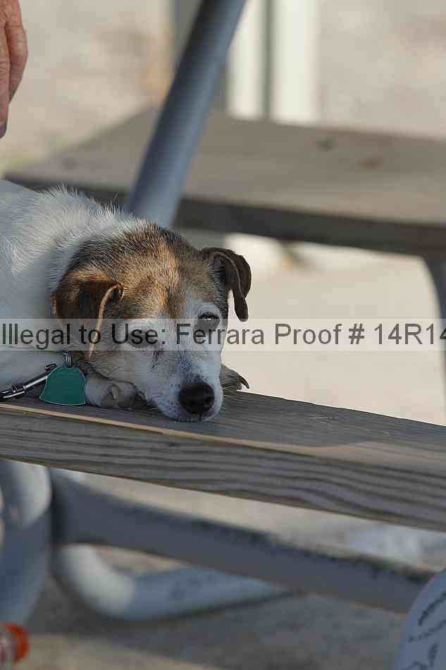 Proof 14r14_2559