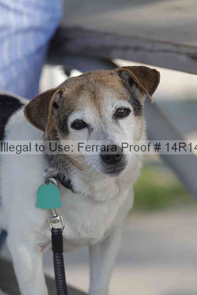 Proof 14r14_2560
