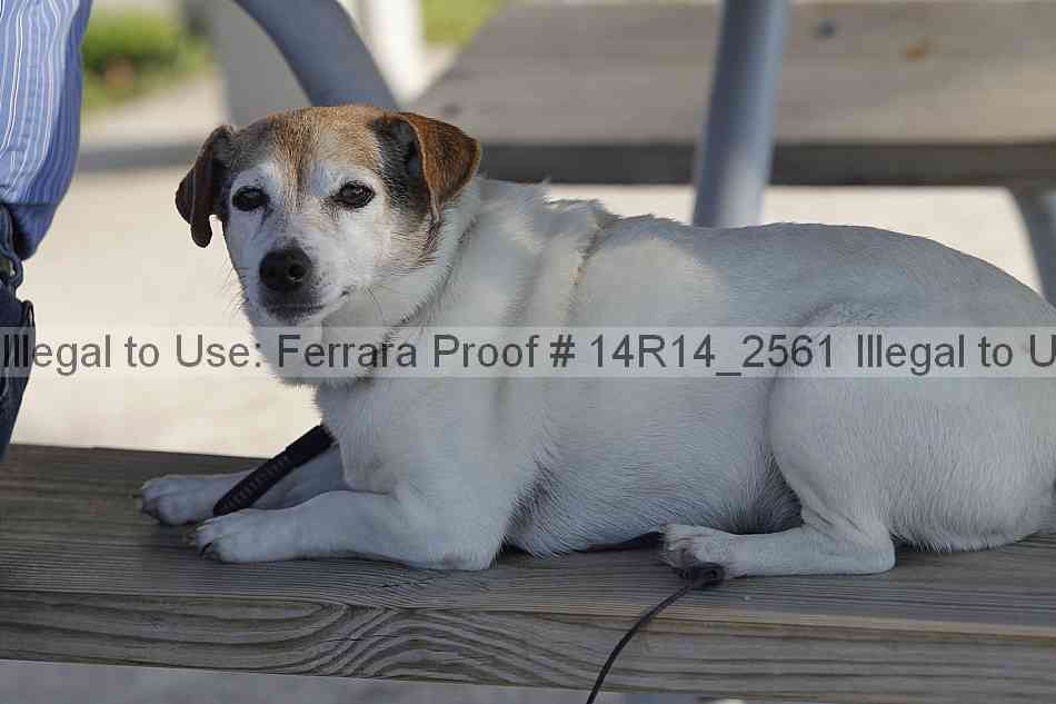 Proof 14r14_2561