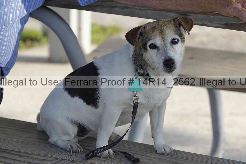 Proof 14r14_2562