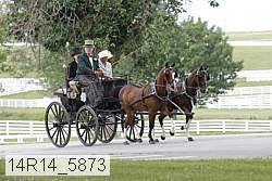 14r14_5873 proof
