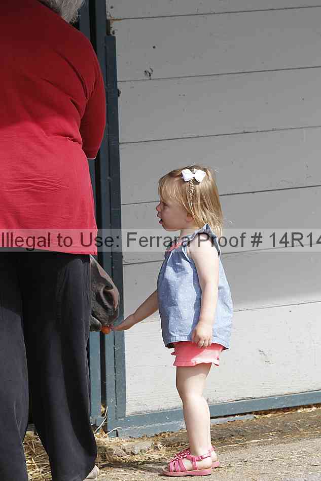 Proof 14r14_5889