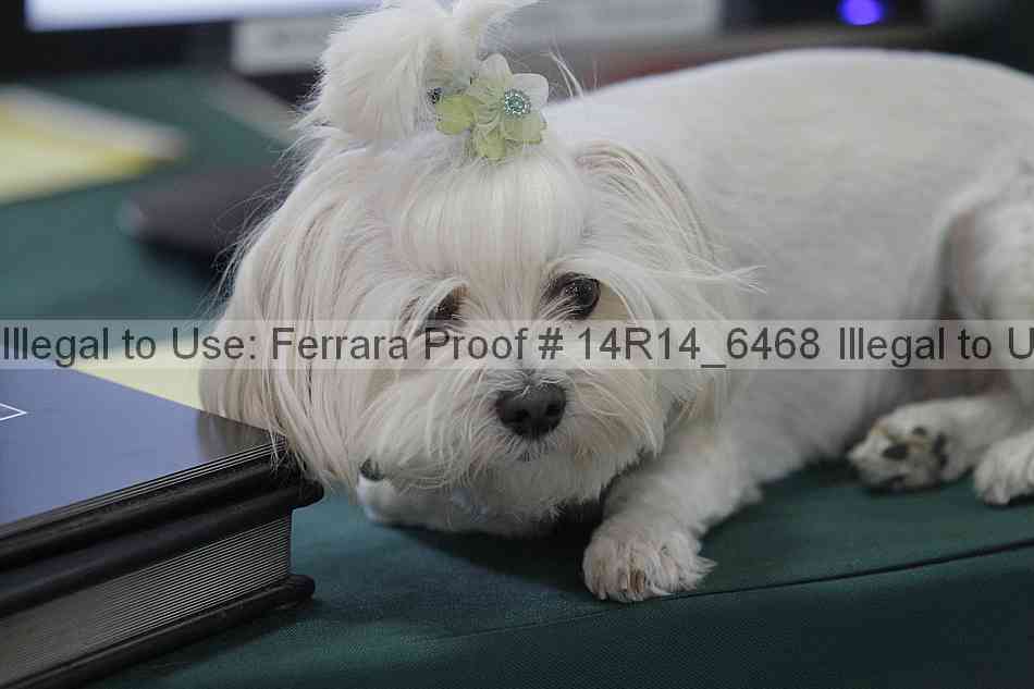 Proof 14r14_6468