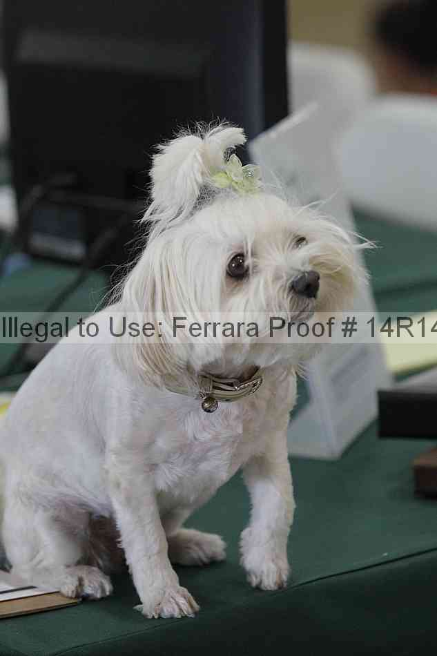 Proof 14r14_6469
