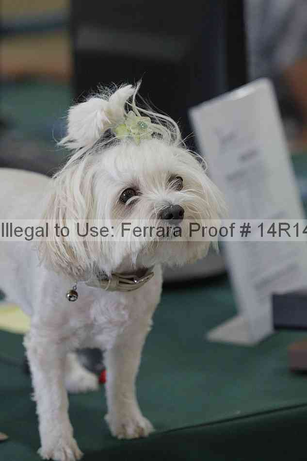 Proof 14r14_6470
