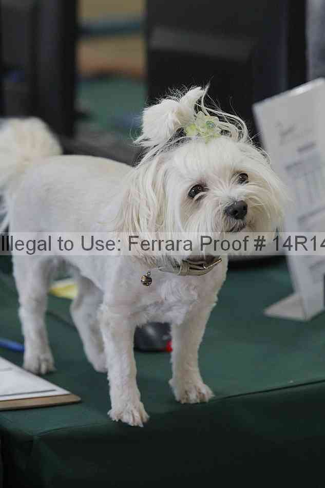 Proof 14r14_6471