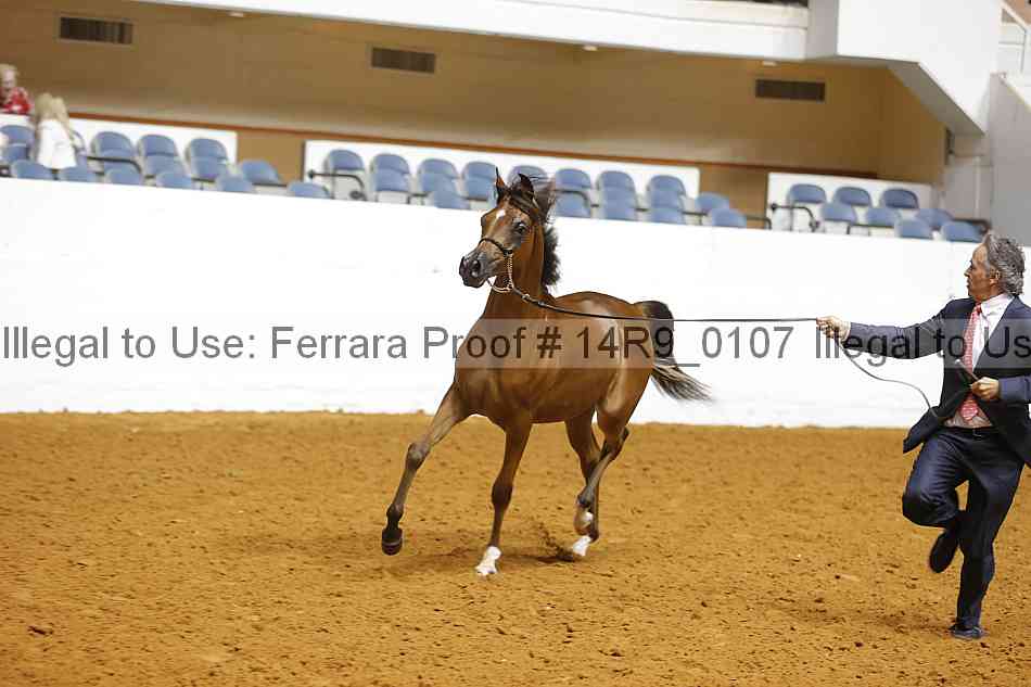 Proof 14r9_0107