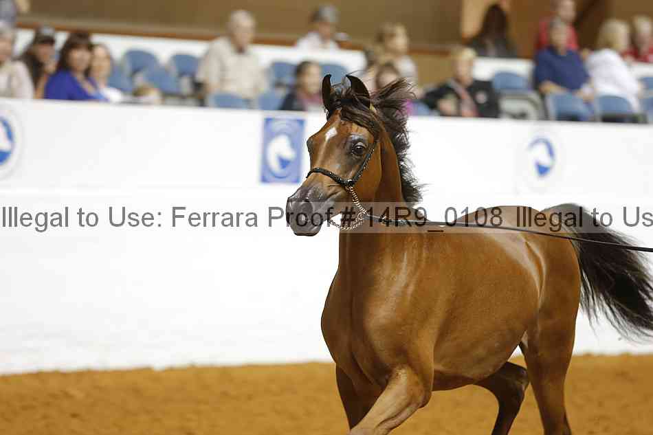 Proof 14r9_0108