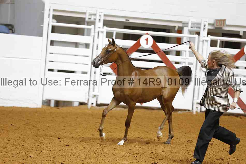 Proof 14r9_0109