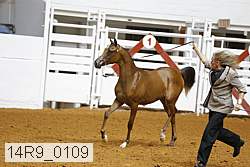 14r9_0109 proof