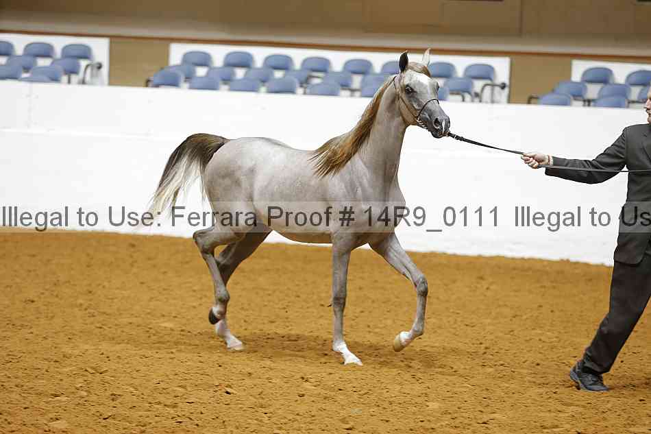 Proof 14r9_0111