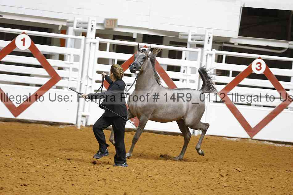 Proof 14r9_0112