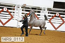 14r9_0112 proof