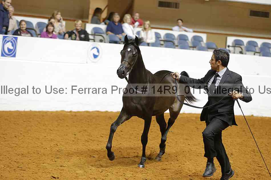 Proof 14r9_0115