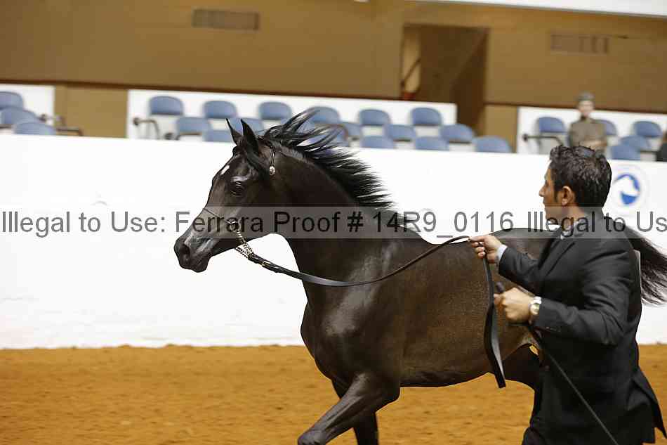 Proof 14r9_0116