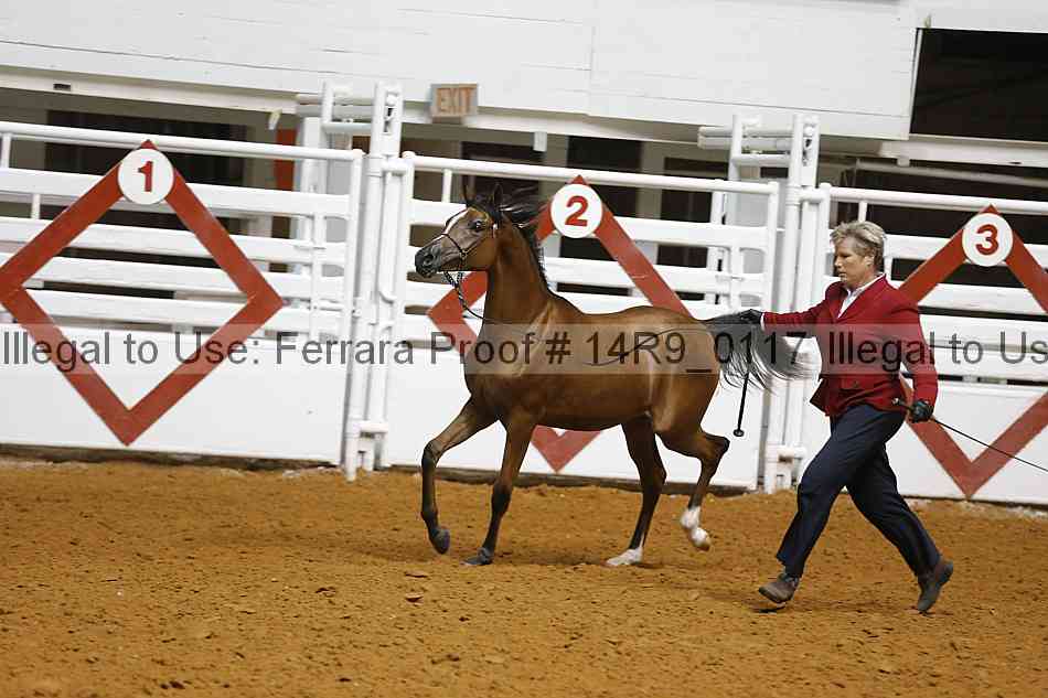 Proof 14r9_0117