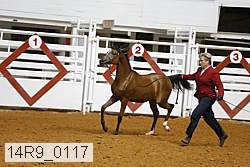 14r9_0117 proof