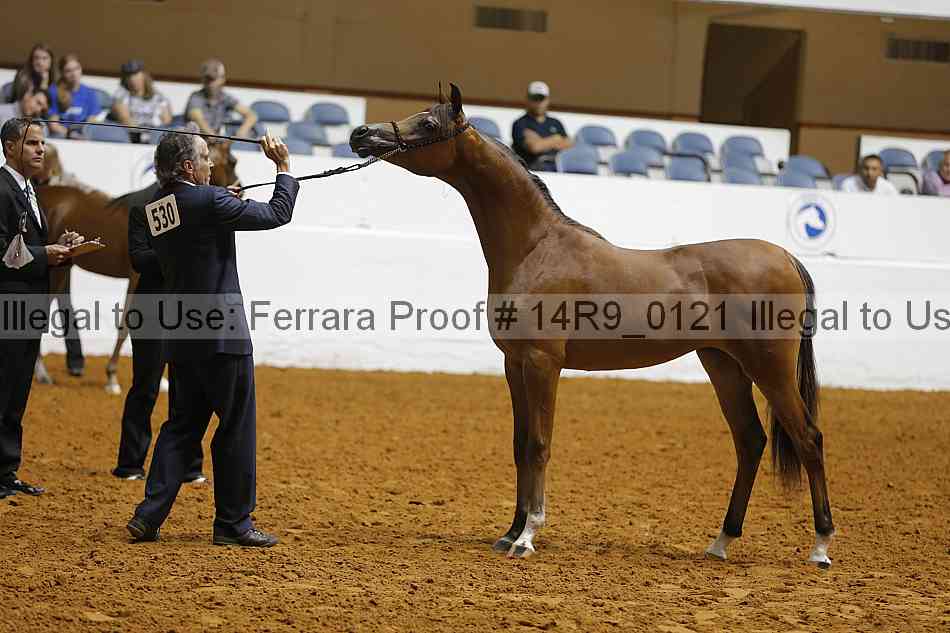 Proof 14r9_0121
