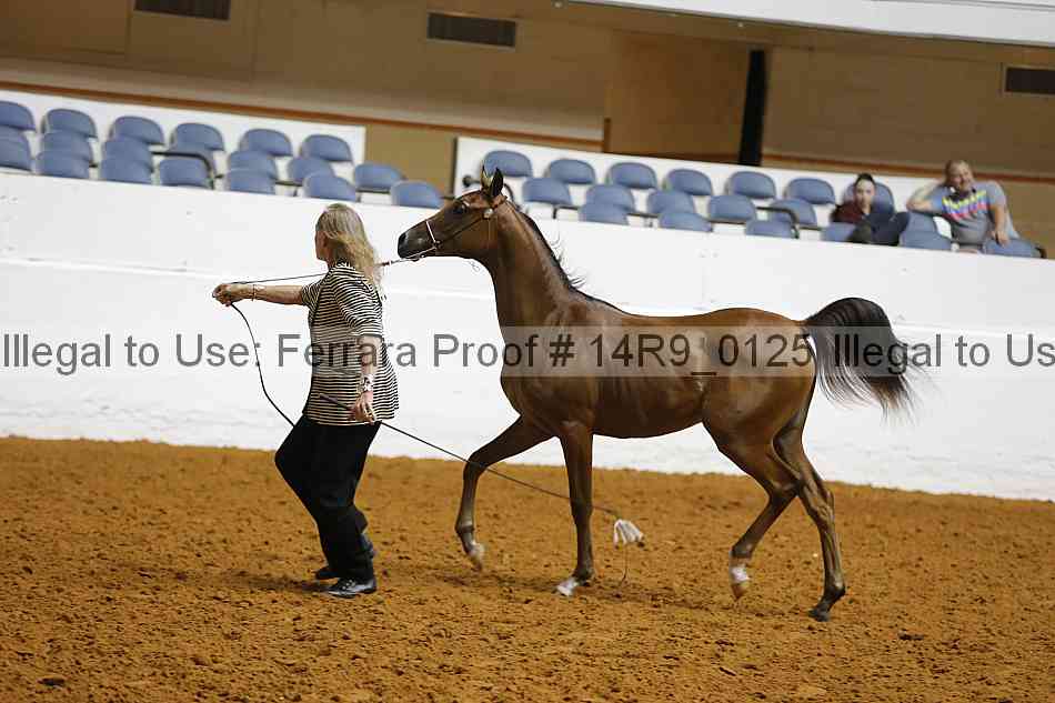 Proof 14r9_0125