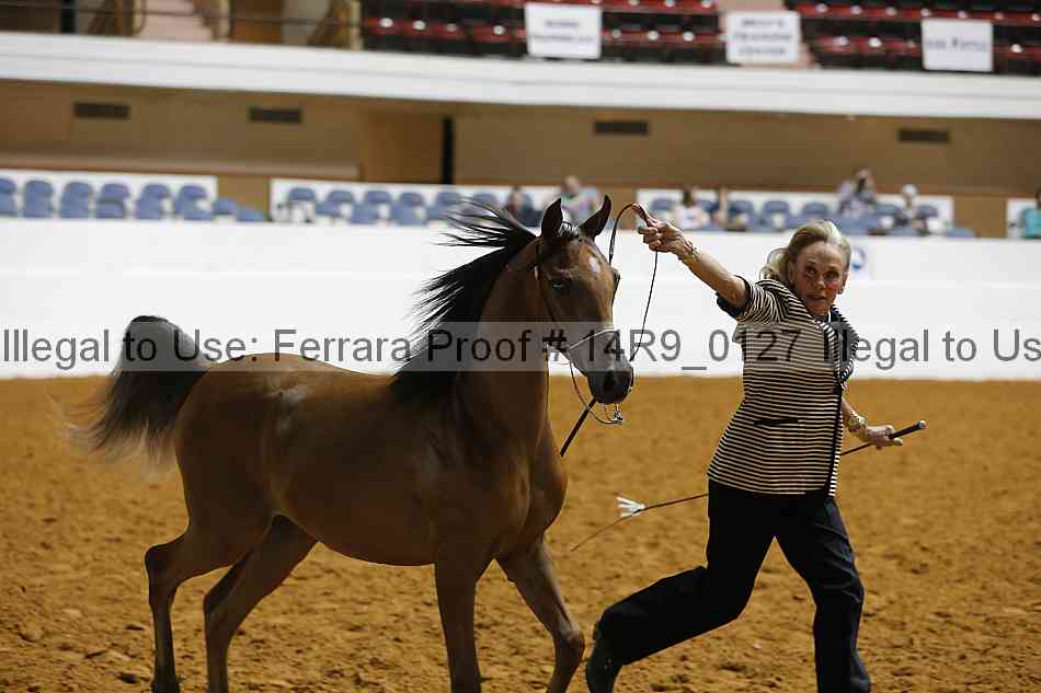 Proof 14r9_0127