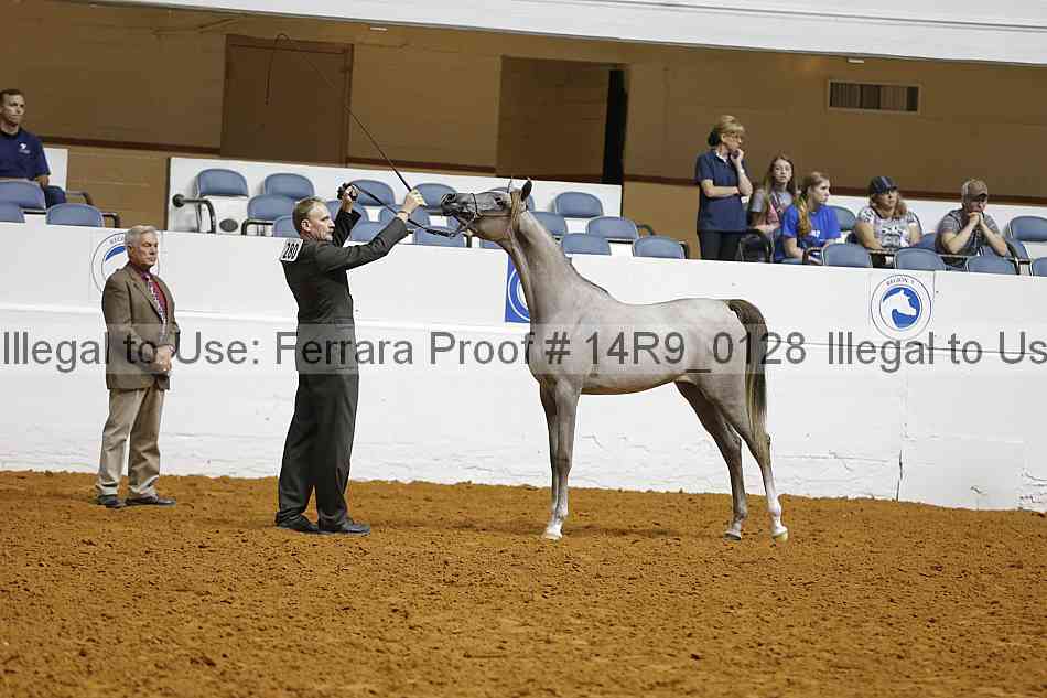Proof 14r9_0128