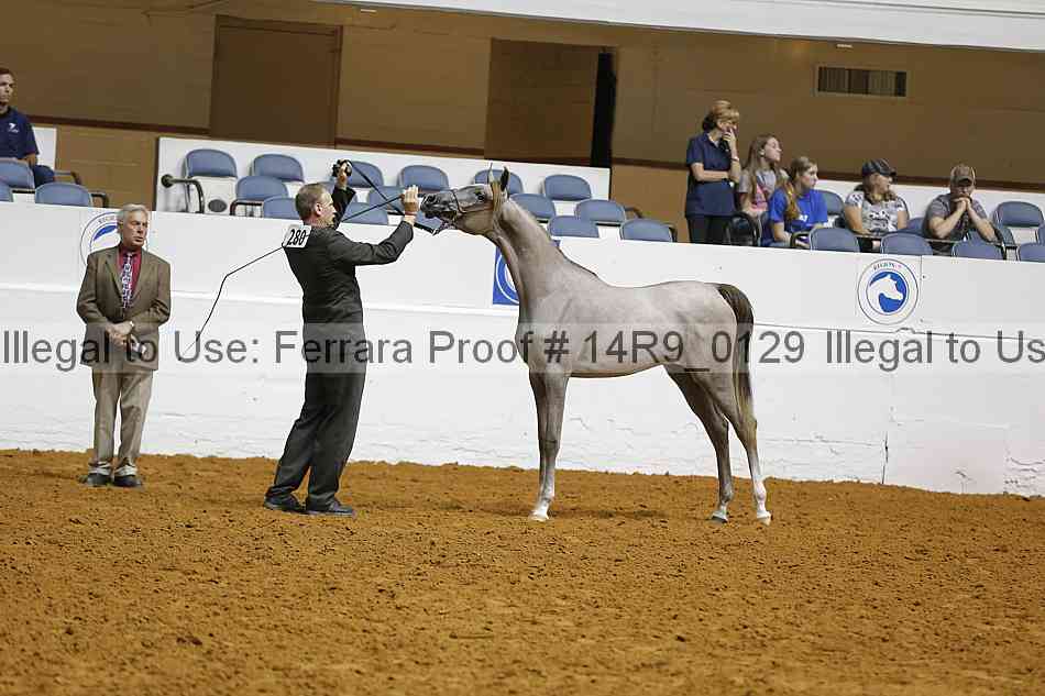 Proof 14r9_0129