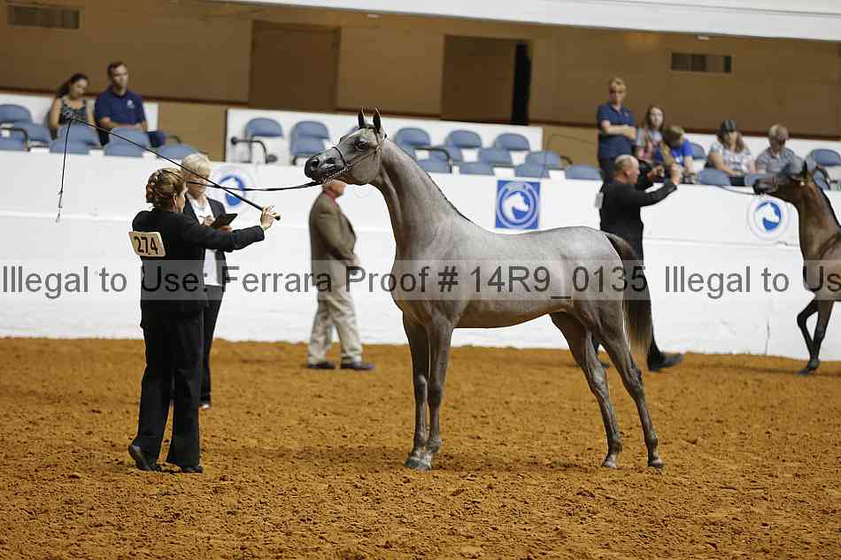 Proof 14r9_0135