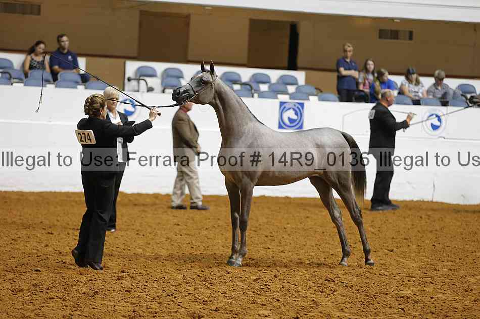 Proof 14r9_0136