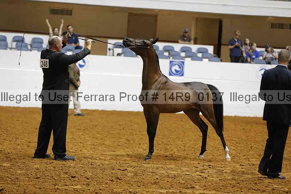 Proof 14r9_0137