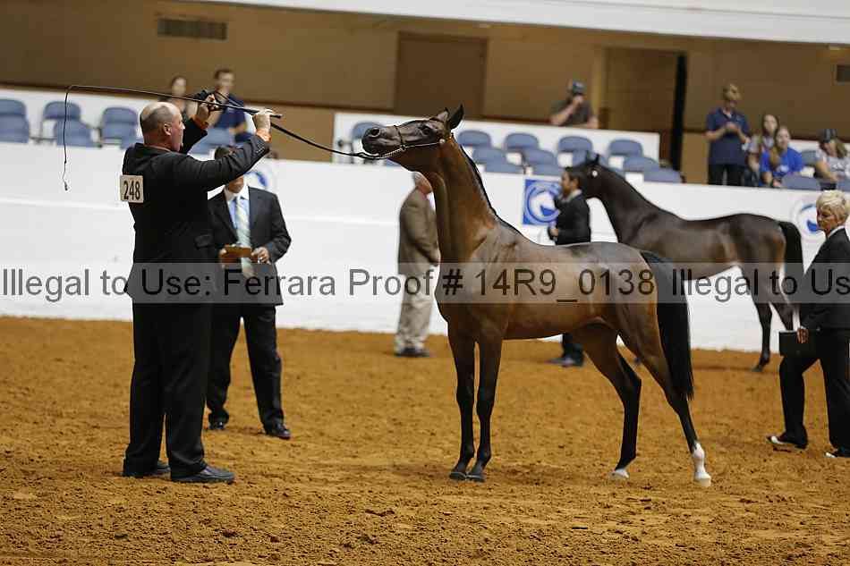 Proof 14r9_0138