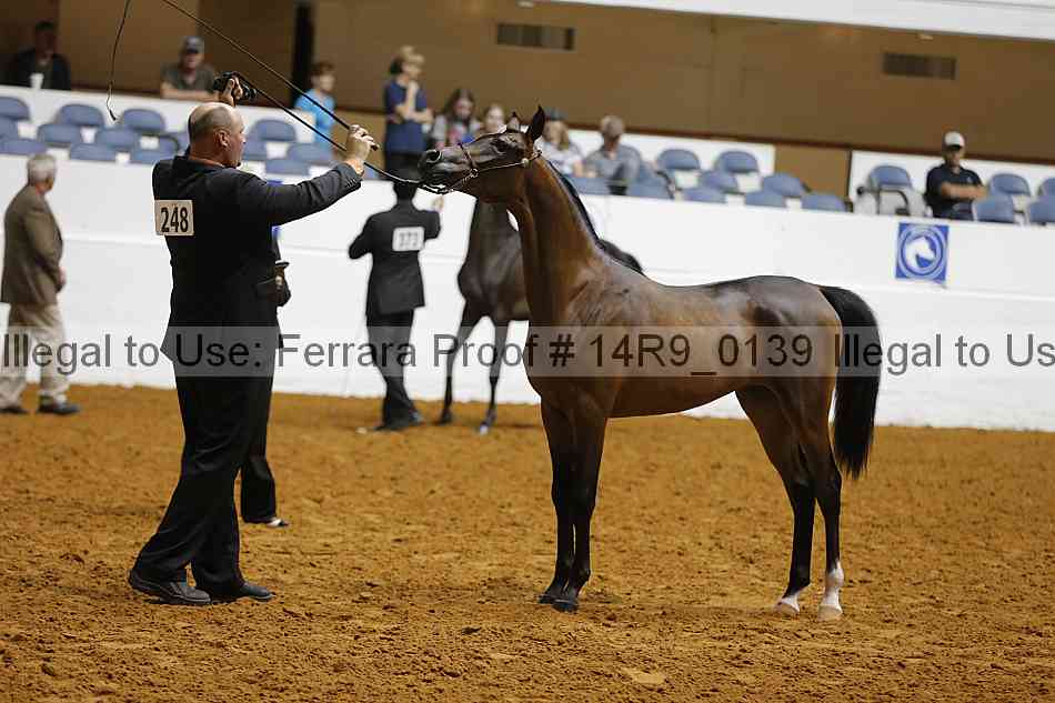 Proof 14r9_0139