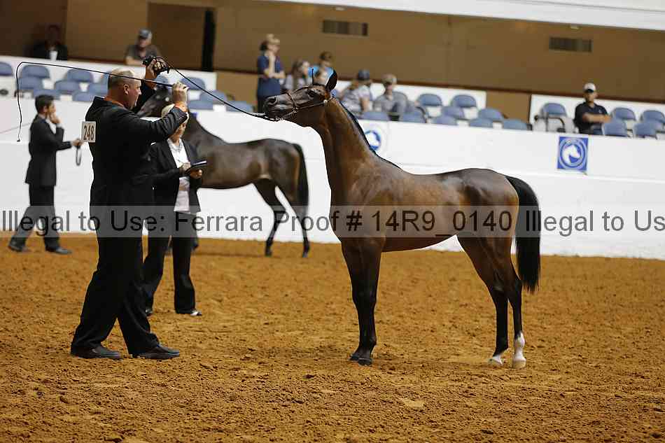 Proof 14r9_0140