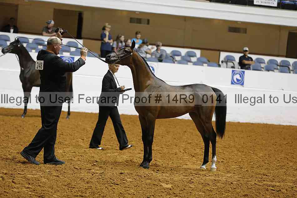 Proof 14r9_0141