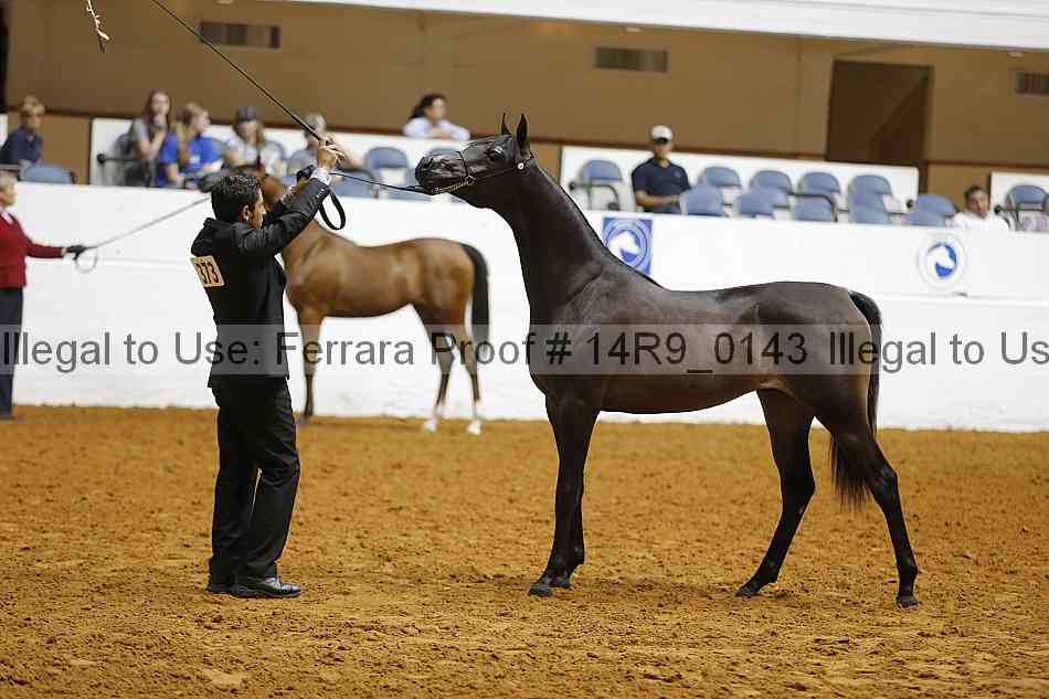 Proof 14r9_0143