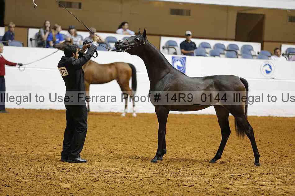 Proof 14r9_0144