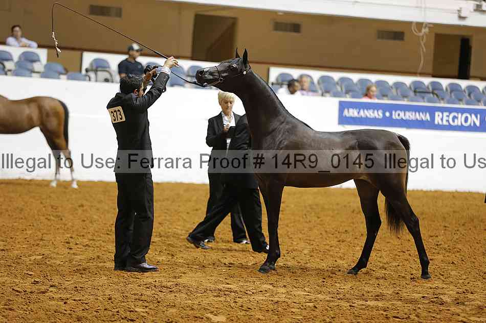 Proof 14r9_0145