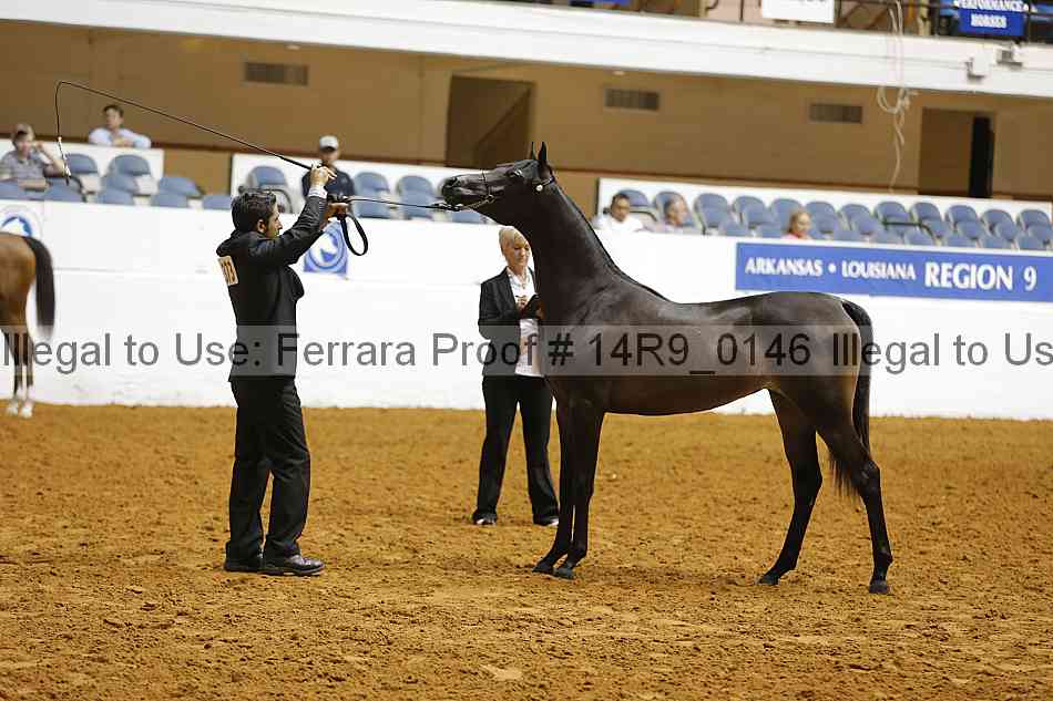 Proof 14r9_0146