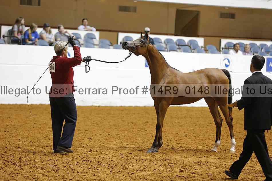 Proof 14r9_0148