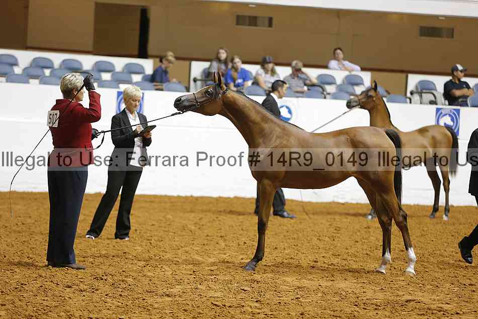 Proof 14r9_0149