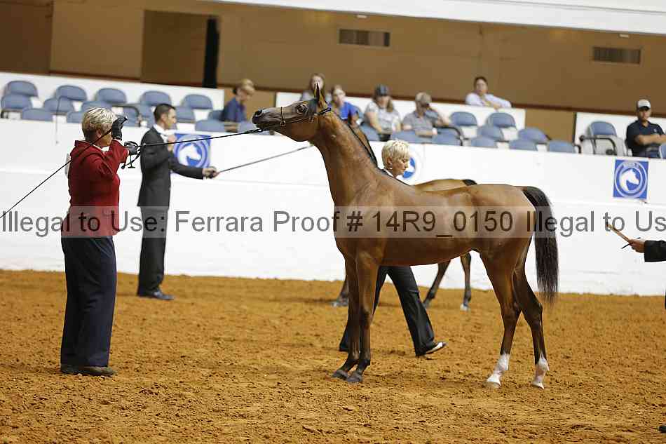 Proof 14r9_0150